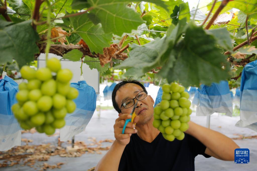 汇丰国际开户送58